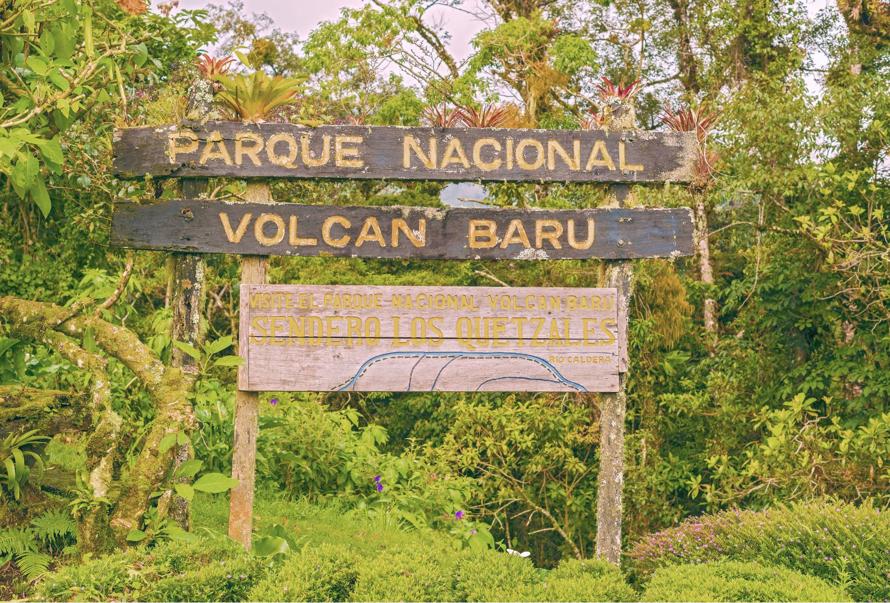 Consejo de Asuntos Ambientales instruye a SALA para la apertura de expediente de hechos por posible falta en la aplicación de la legislación ambiental dentro del Parque Nacional Volcán Barú.