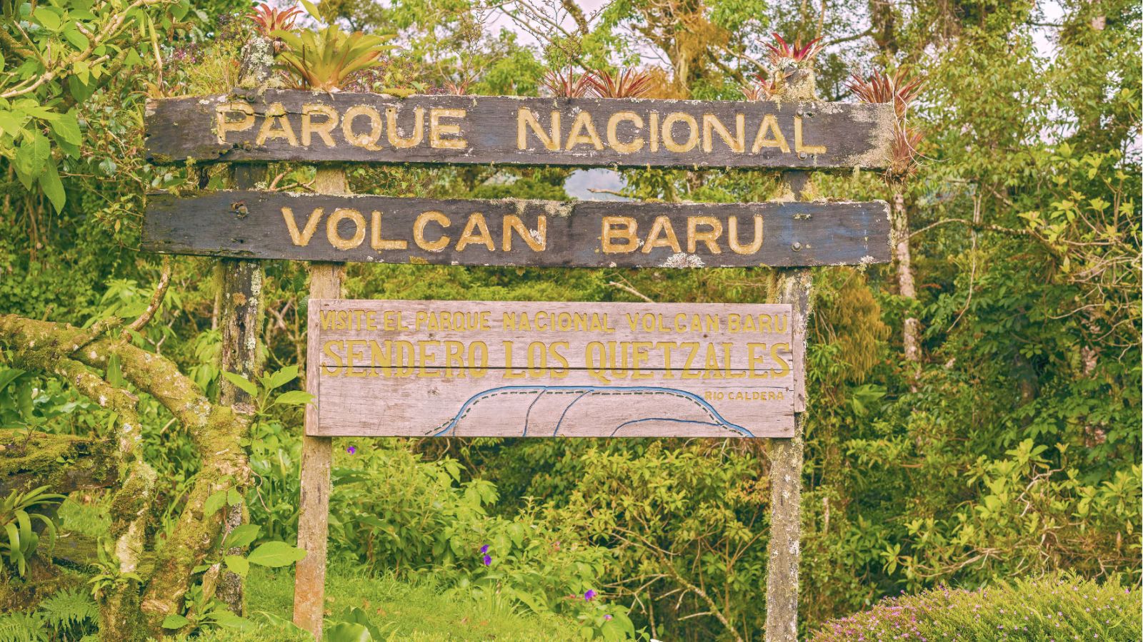 foto de noticia Consejo de Asuntos Ambientales instruye a SALA para la apertura de expediente de hechos por posible falta en la aplicación de la legislación ambiental dentro del Parque Nacional Volcán Barú.