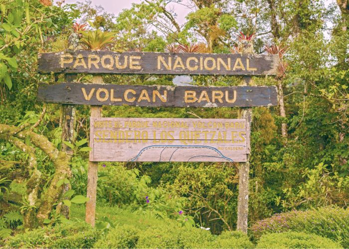 Consejo de Asuntos Ambientales instruye a SALA para la apertura de expediente de hechos por posible falta en la aplicación de la legislación ambiental dentro del Parque Nacional Volcán Barú.