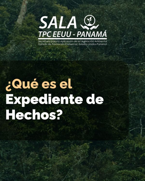 sala_seem feed on instagram